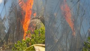 Moradores tentam apagar incêndio que dura mais de 6 horas no PI e cobram ação dos Bombeiros