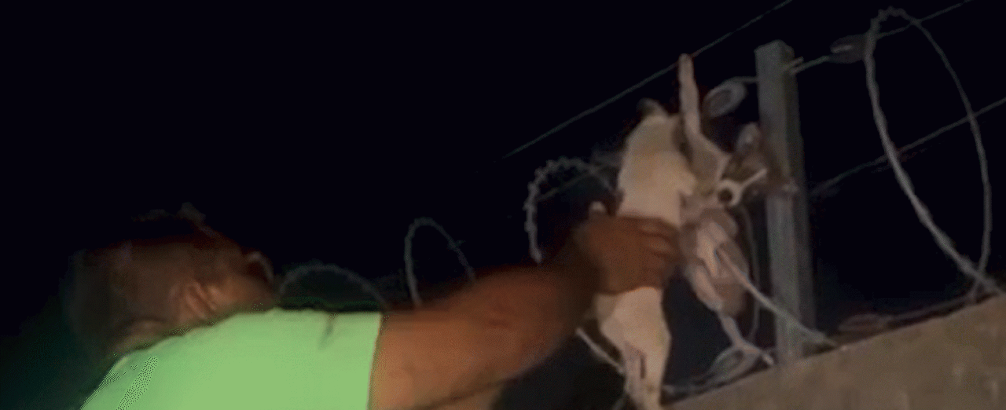'Foi um desespero', diz empresário após resgatar filhotes de cachorro presos em cerca elétrica no PI