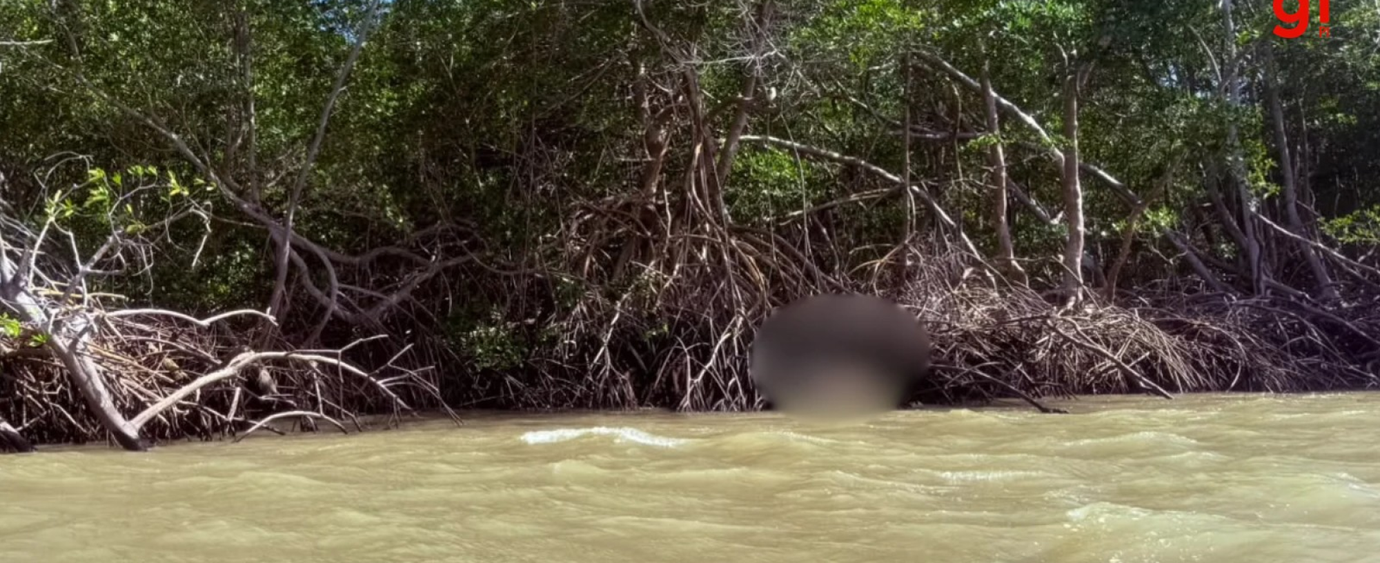 Corpo de homem é encontrado preso a raízes de árvore em rio no Piauí
