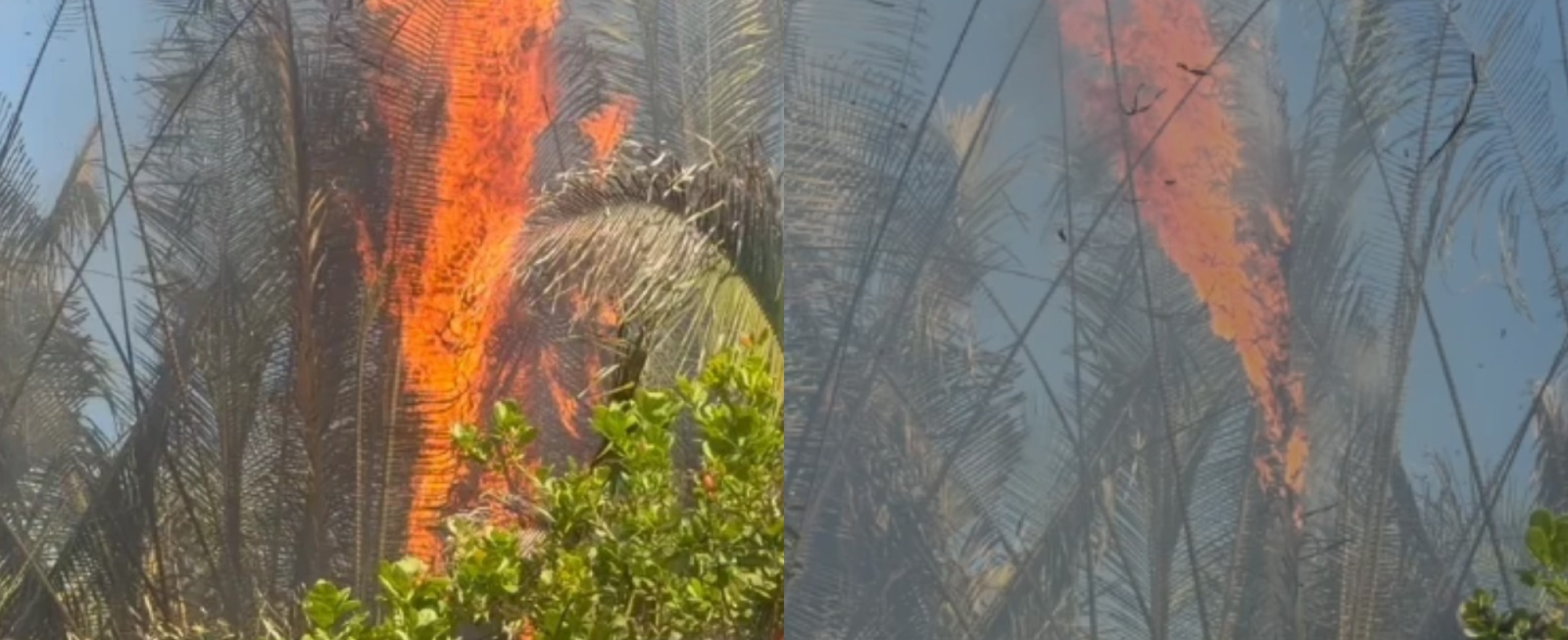 Moradores tentam apagar incêndio que dura mais de 6 horas no PI e cobram ação dos Bombeiros