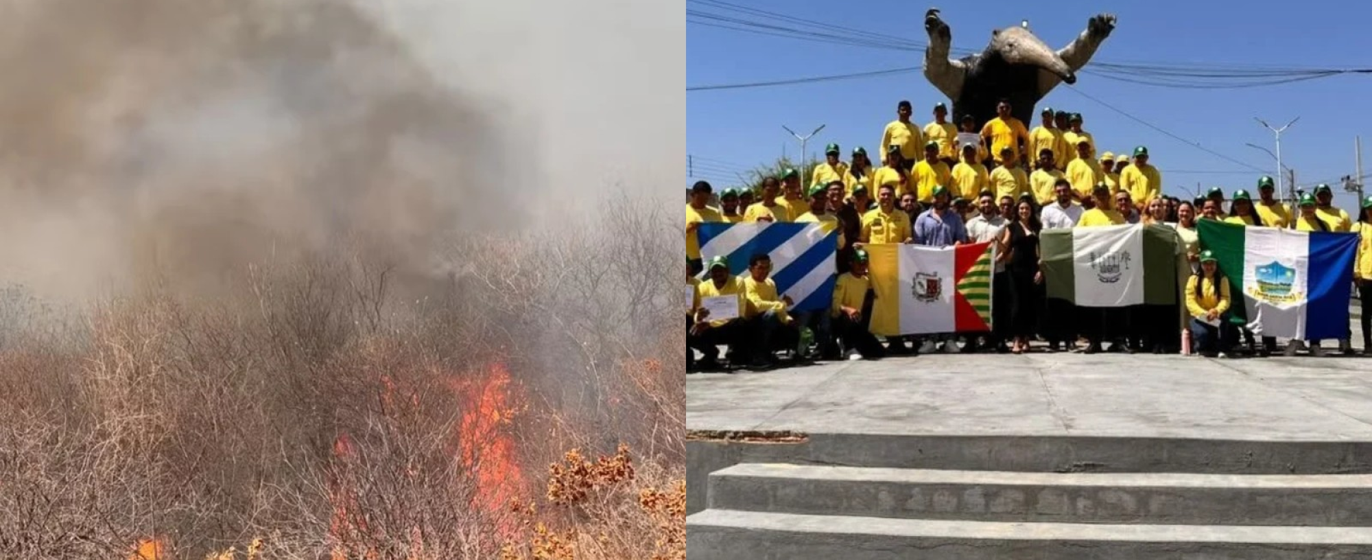 PI reforça combate a incêndios com 3,3 mil brigadistas