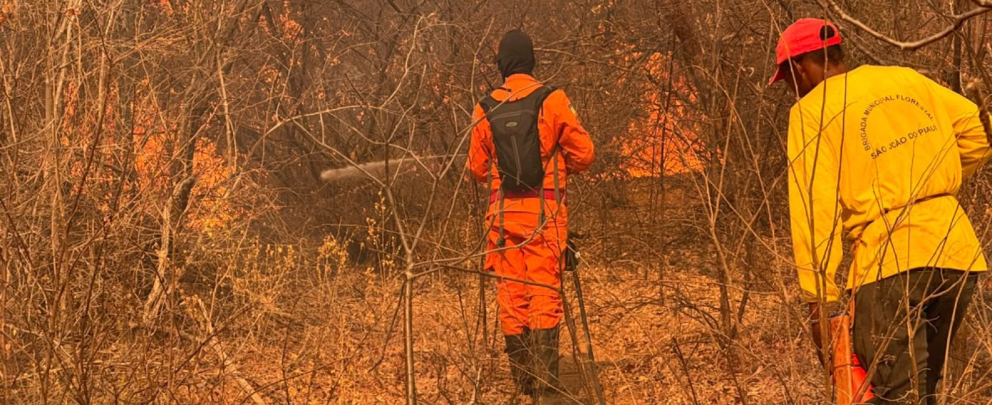 Incêndios em áreas de vegetação mobilizam equipes há cinco dias em cidade no Centro-Sul do Piauí
