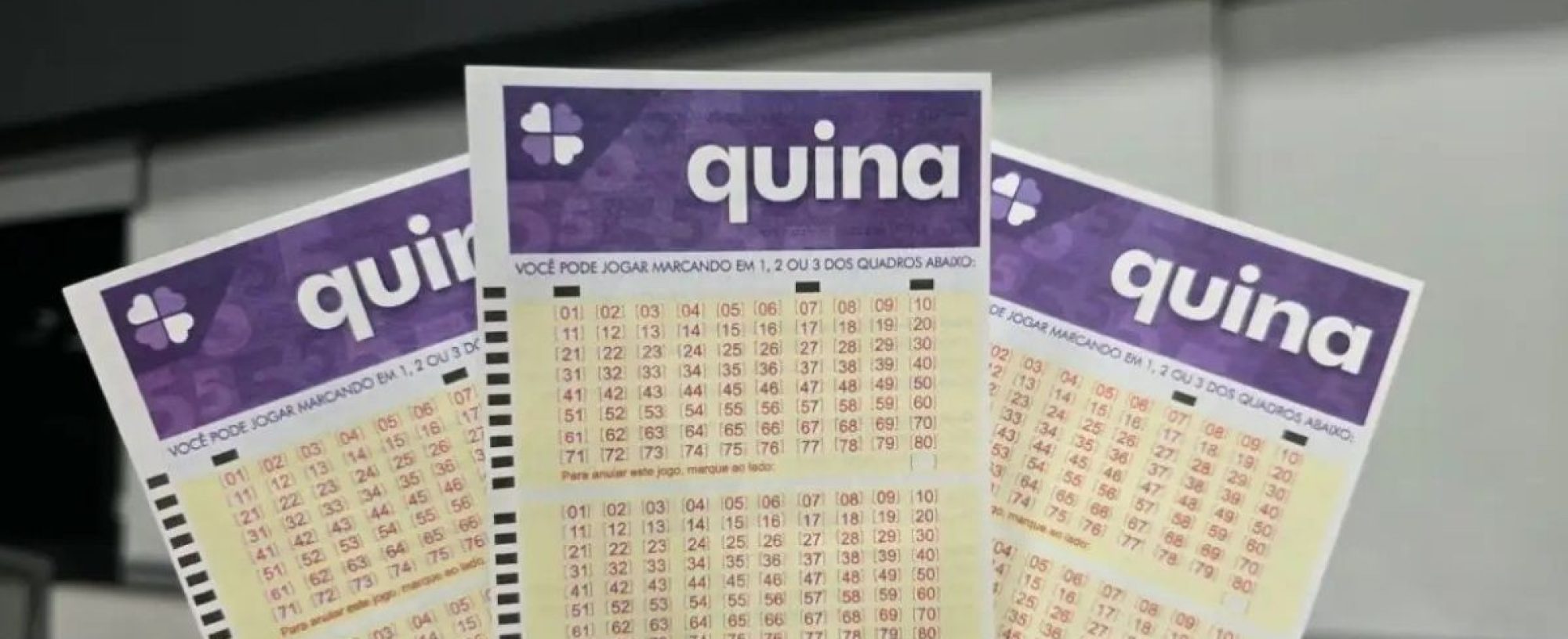 Resultado da Quina concurso 7145: aposta de Teresina fica a um número de prêmio milionário e leva R$ 15 mil